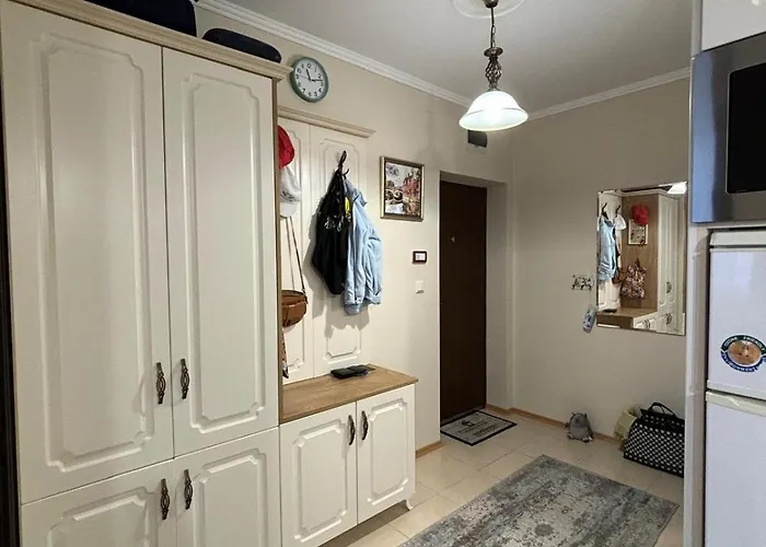 Rosa Marina 公寓 内塞伯尔